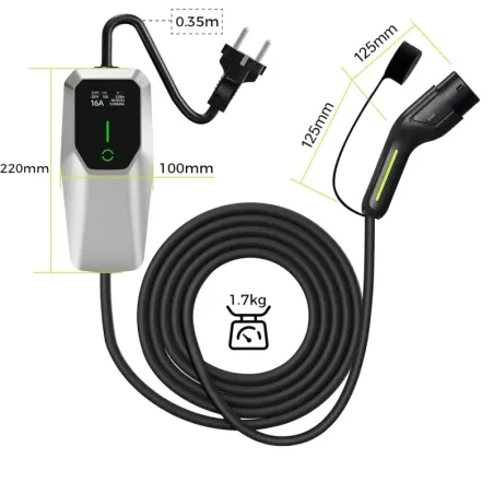 Laddare Dacia Spring Comfort Electric 33kW 45HK 2021 till 2022