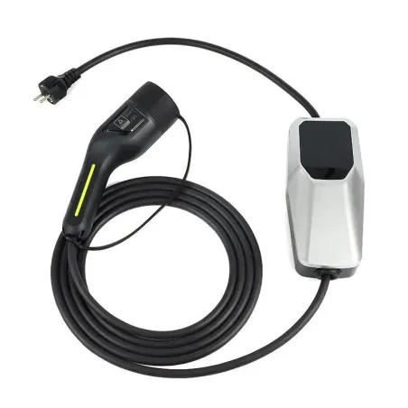 Ladegerät Dacia Spring Expression Electric 48kW 65PS 2024 bis 2025