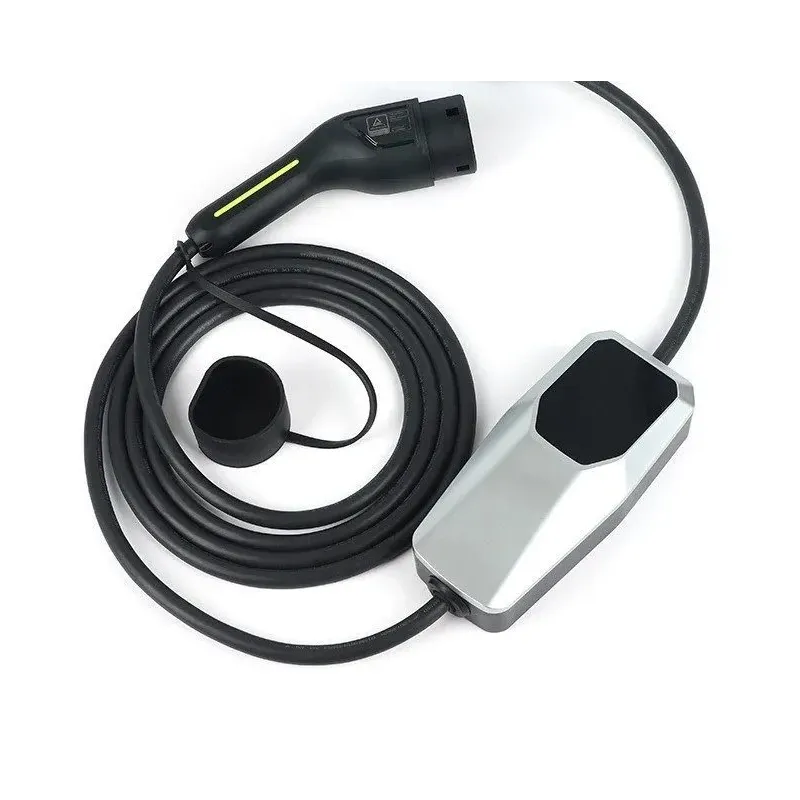 DFSK E5 Intelligent Charger 2024 to 2025
