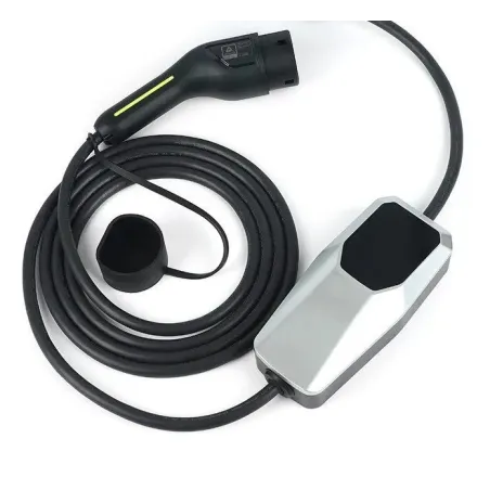 DFSK E5 Intelligent Charger 2024 to 2025