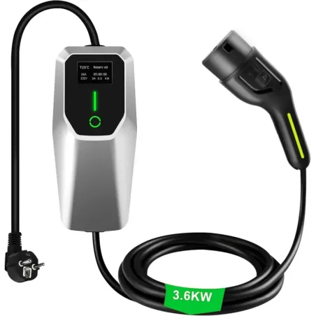 Hyundai IONIQ EV Charger Tech 2019 to 2022