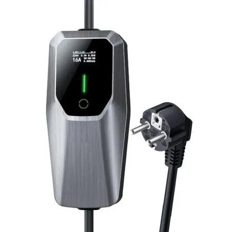 Caricatore Iveco Daily 35C Elettrico 1 Batteria 10h 4100 2017 a 2019