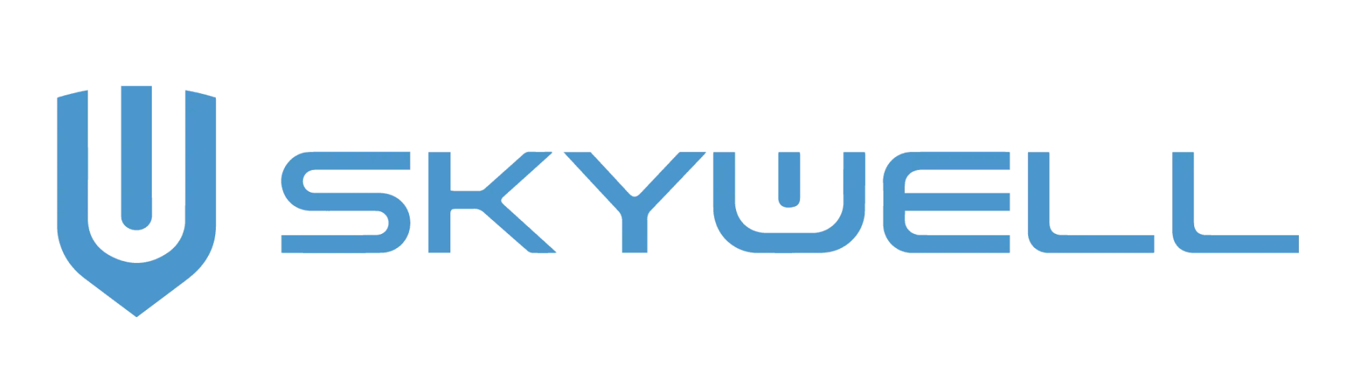 Skywell BE11 Luxus Ladegerät