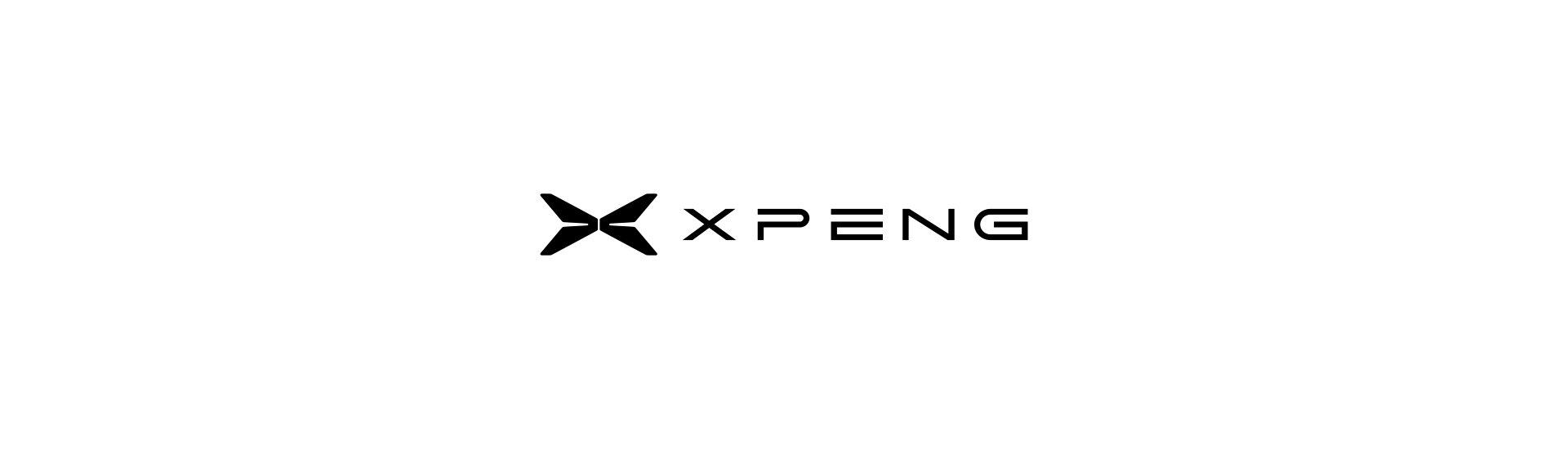 Xpeng G6 Long Range Charger
