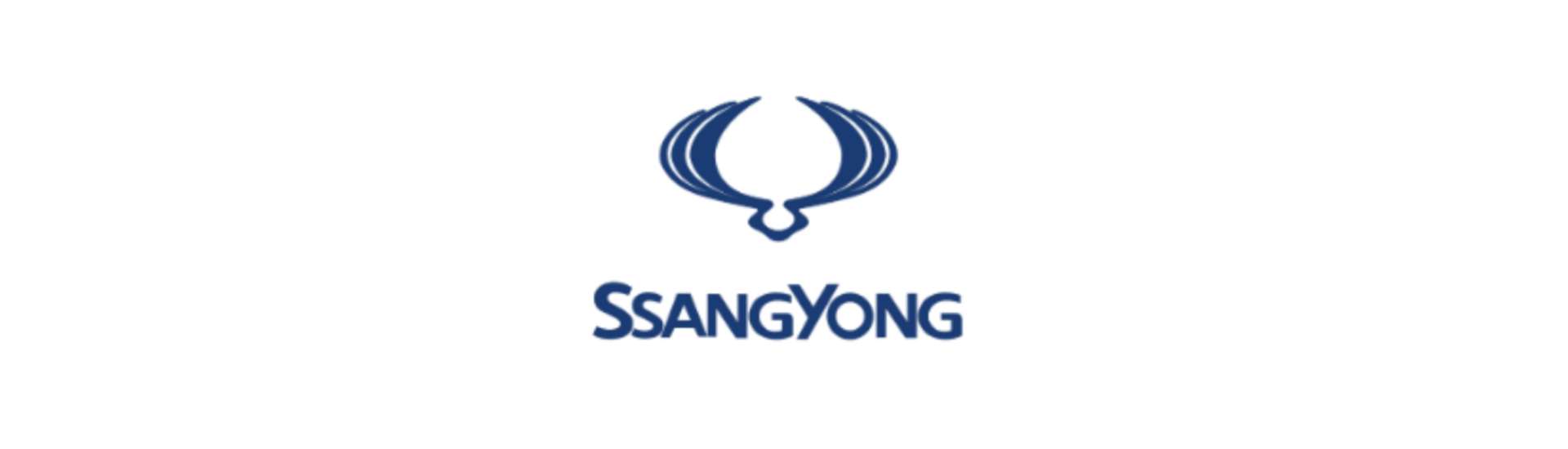 Reservdelar bil Ssangyong Korando el