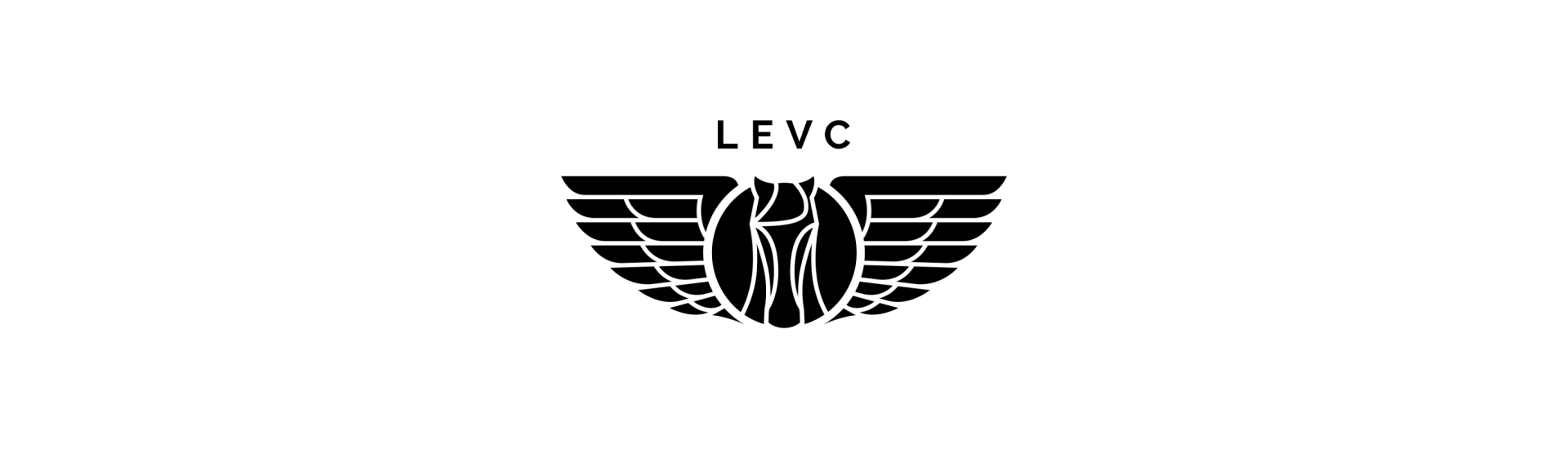 Chargeur Levc VN5 1.5
